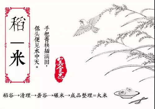 米文化 智米粮栈的千年韵味与谷类作物的智慧
