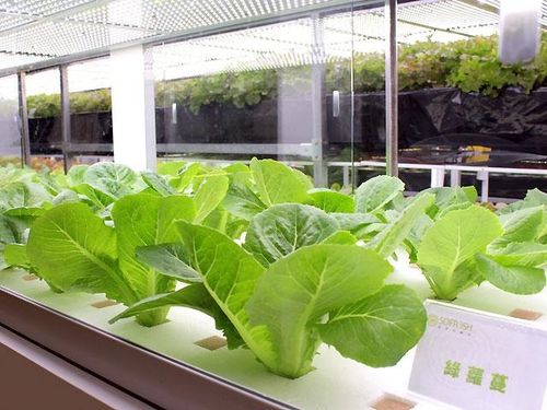 2021年LED市场产值增长至165.31亿美元 机遇与挑战并存的产业前景