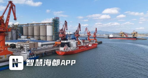 福建粮油新突破 首批6000吨大豆油成功出口，仓储服务护航国际市场首航