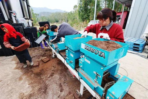 守好“饭碗田”，稳住“米袋子”——南安市多措并举提升粮油仓储服务水平