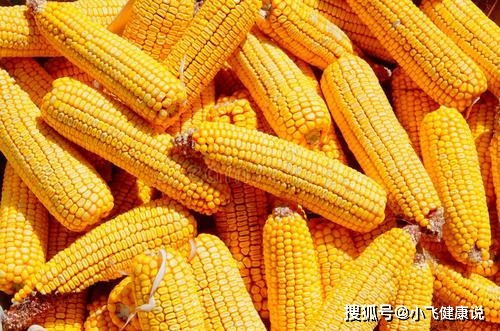 玉米面是粗粮还是细粮？营养师提醒 糖尿病人吃玉米面，别犯三个错